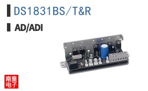 DS1831BS/T&R