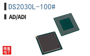 DS2030L-100#
