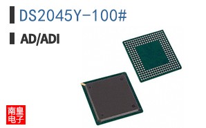 DS2045Y-100#