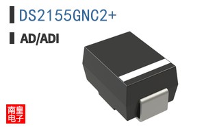 DS2155GNC2
