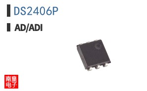 DS2406P